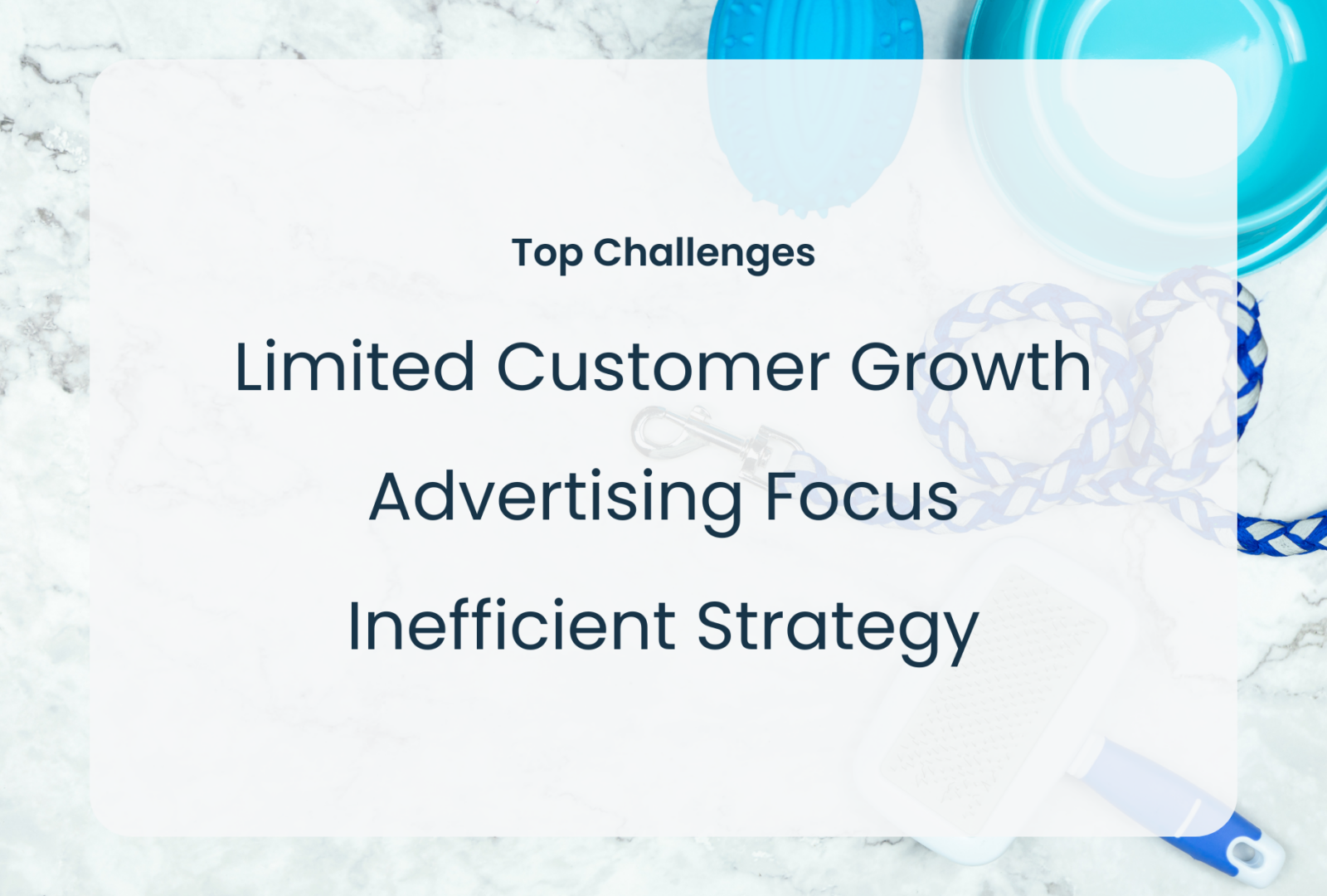 image with text: Top Challenges, Limited customer growth, advertising focus, iinefficient strategy